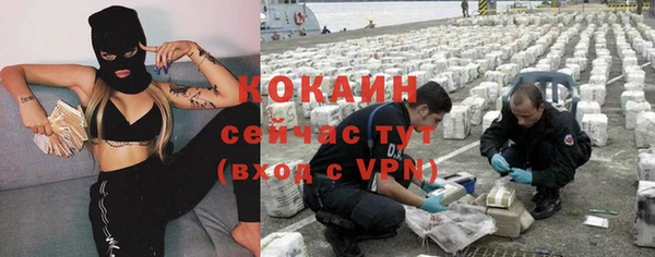 молекула духа Горняк