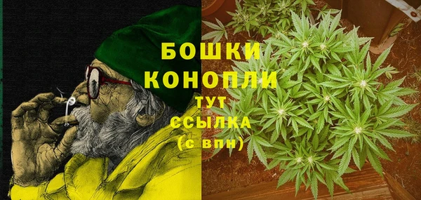 молекула духа Горняк