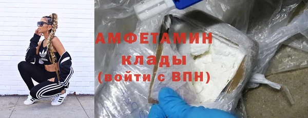 молекула духа Горняк