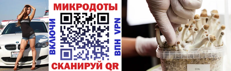 Купить закладки  Белоярский  Псилоцибиновые грибы мицелий 
